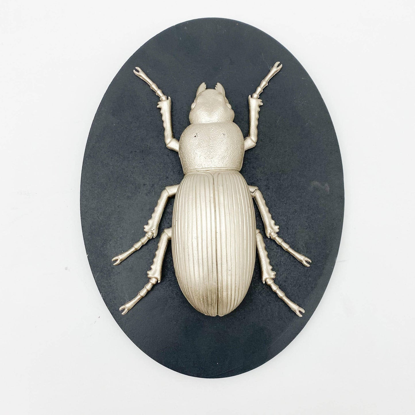 33Cm Insect Wall Decor On Wood Board