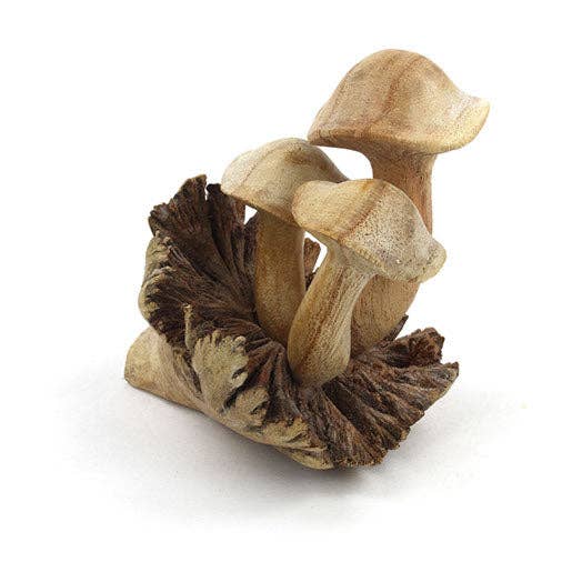 Small Parasite Wood Mushrooms