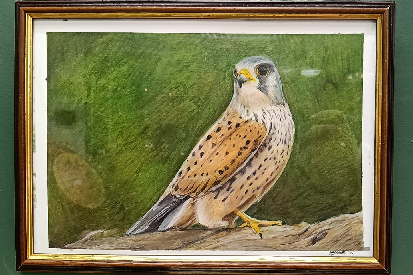 "Our Kes" Original by Millie Bennett