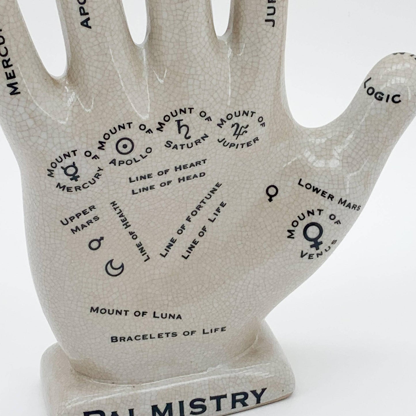 12" Palmestry Hand