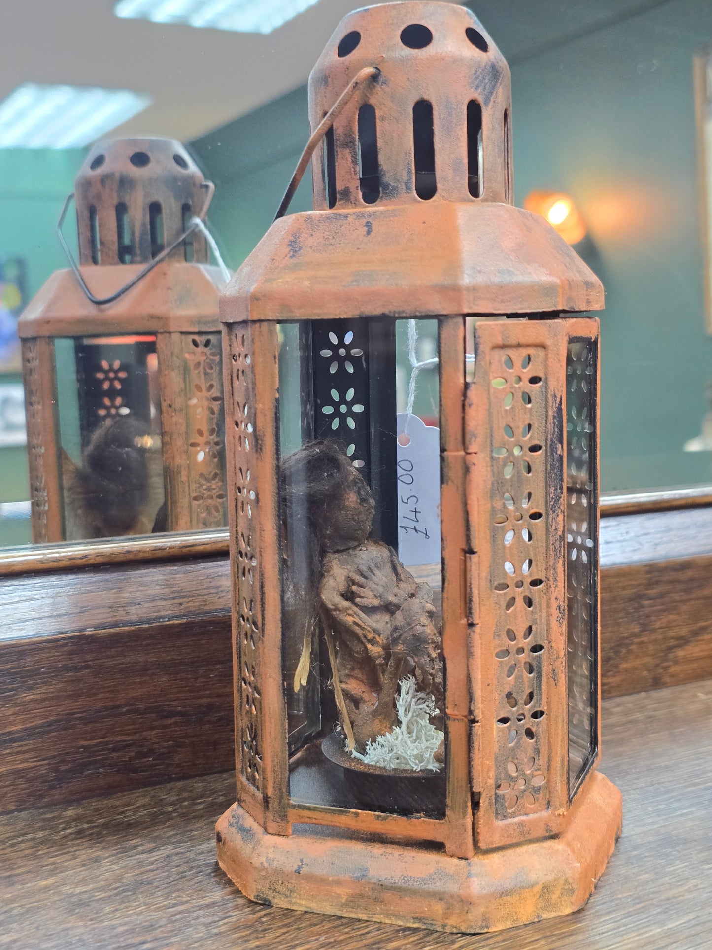 Mummified Fairy in Lamp by Oddly Harriet