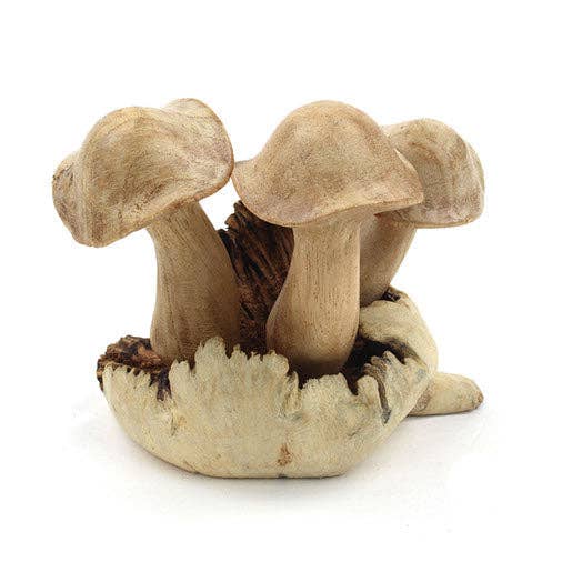 Small Parasite Wood Mushrooms