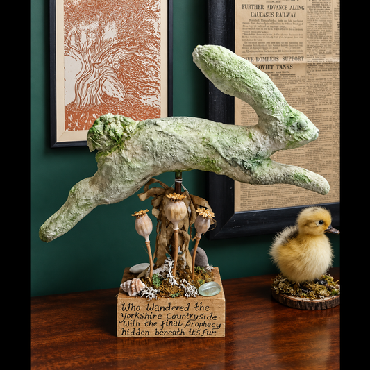 'Petrified Hare' by Oddly Harriet