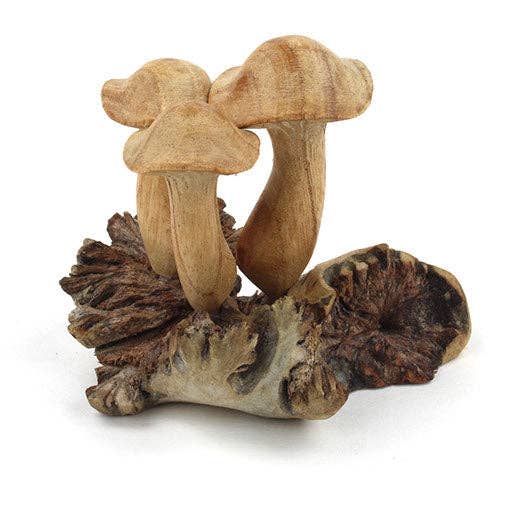 Small Parasite Wood Mushrooms