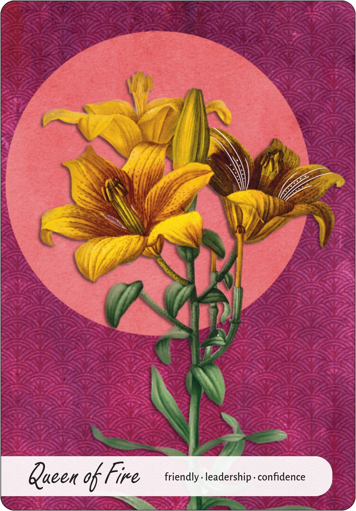 Wise Earth Medicine Tarot