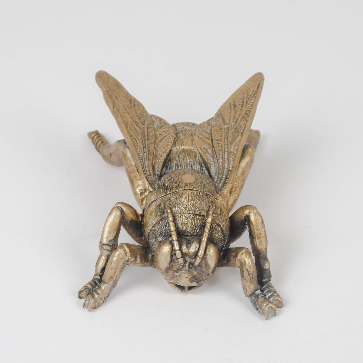 Fly on the wall - gold wall sculpture