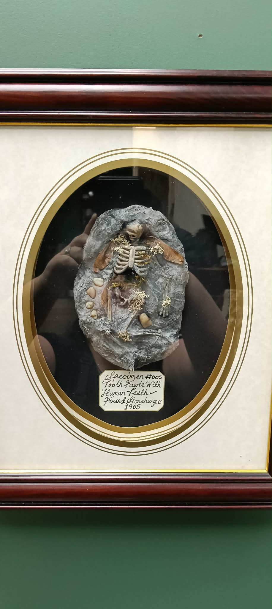 Tooth Fairy Specimen #004 by Oddly Harriet