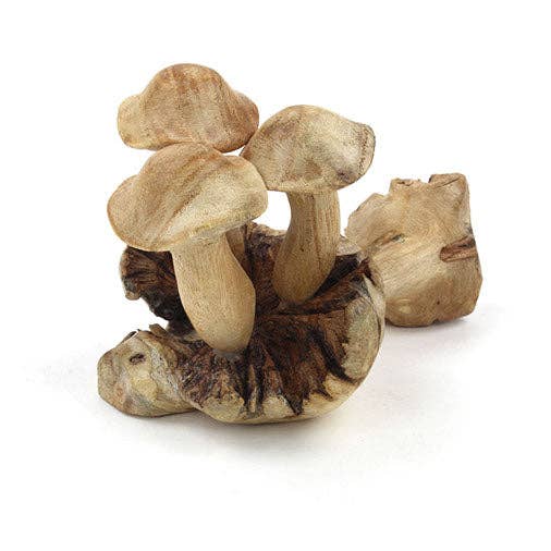 Small Parasite Wood Mushrooms