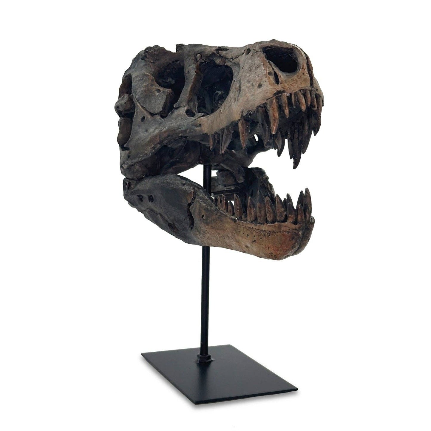 Dinosaur on a Stand