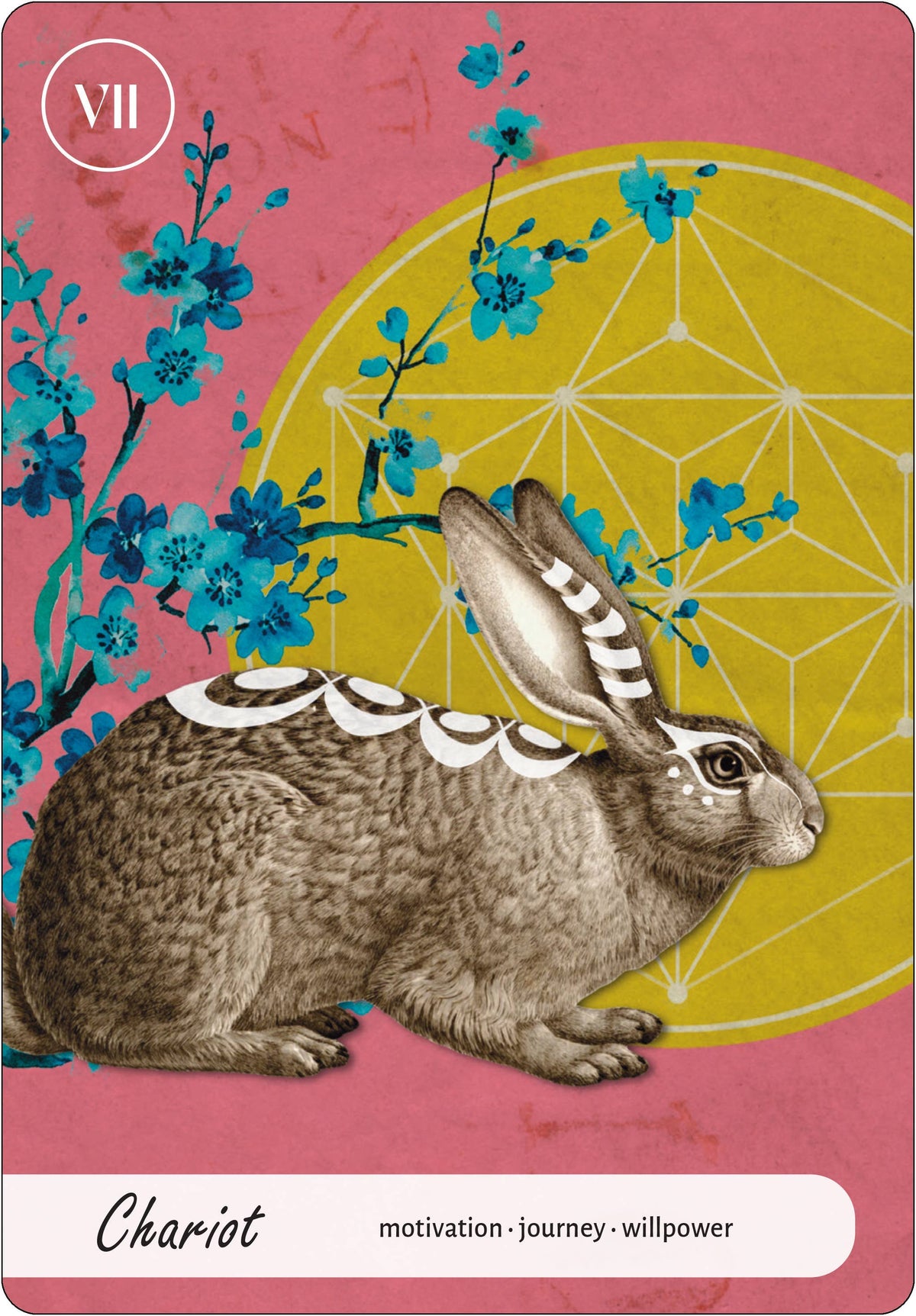 Wise Earth Medicine Tarot
