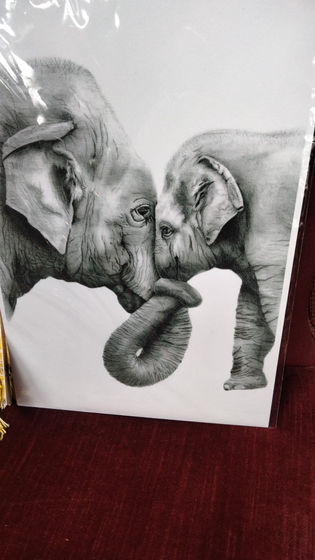 Elephant Print By Becky Hodkin