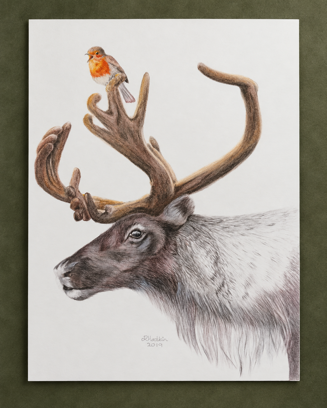 Reindeer and Robin Print By Rebecca Hodkin