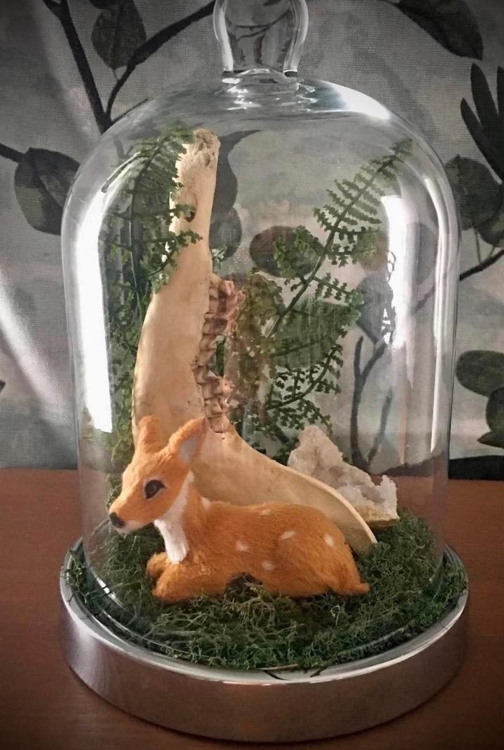 Deer Forest Curiosity cloche by Oddly Harriet
