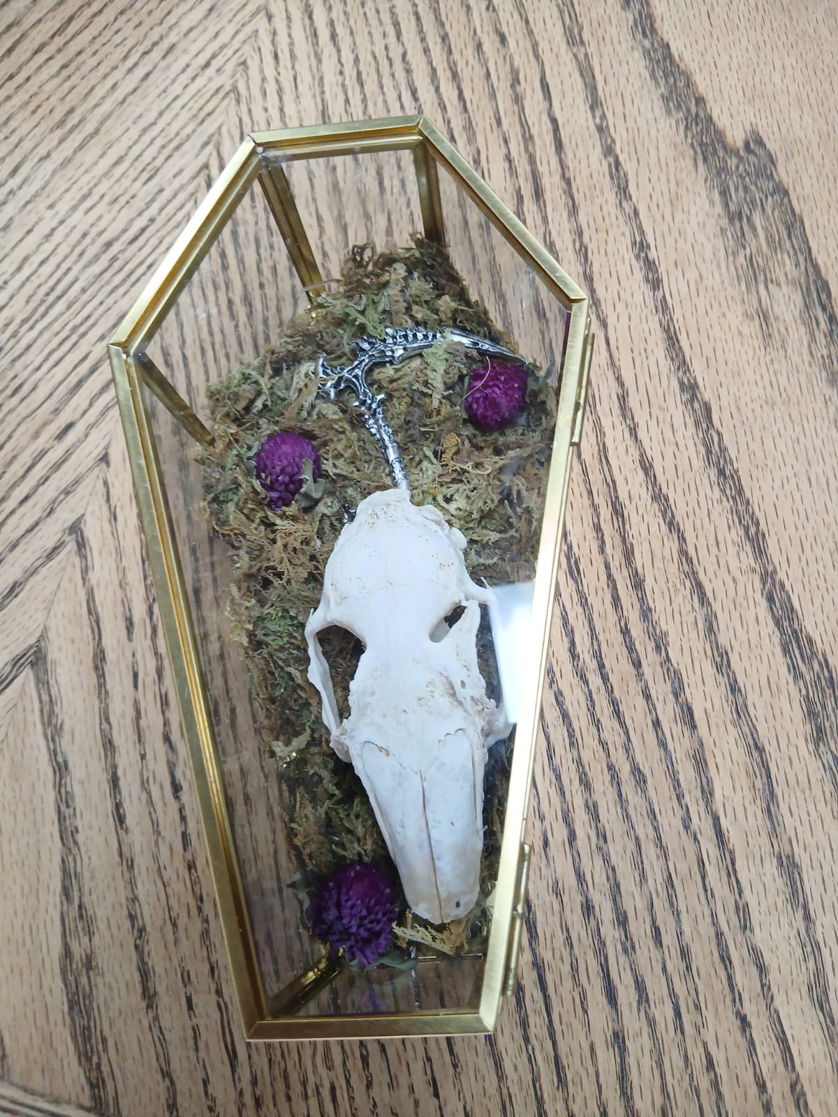 Hare Skull in Glass Coffin with Scythe