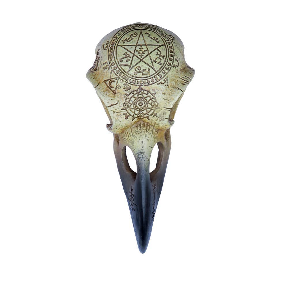 Omega Raven Skull (Table Ornament)