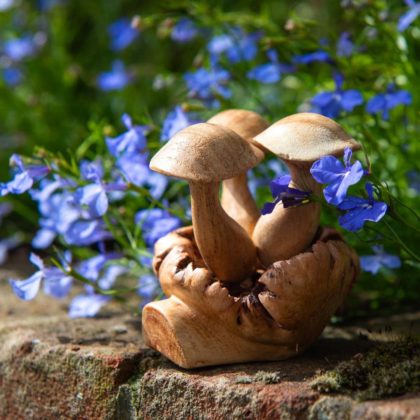 Small Parasite Wood Mushrooms
