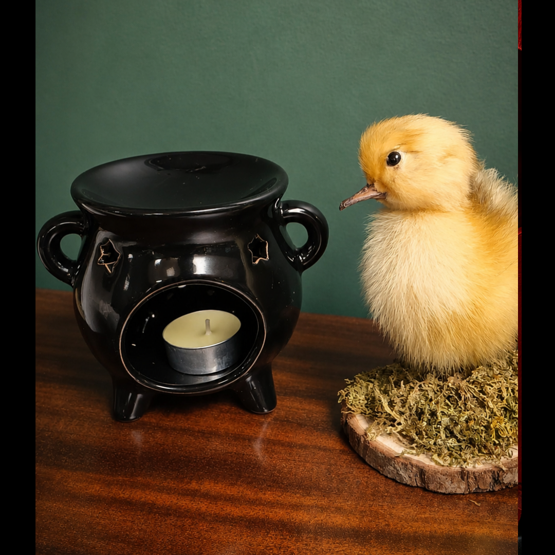 Black cauldron oil Burner