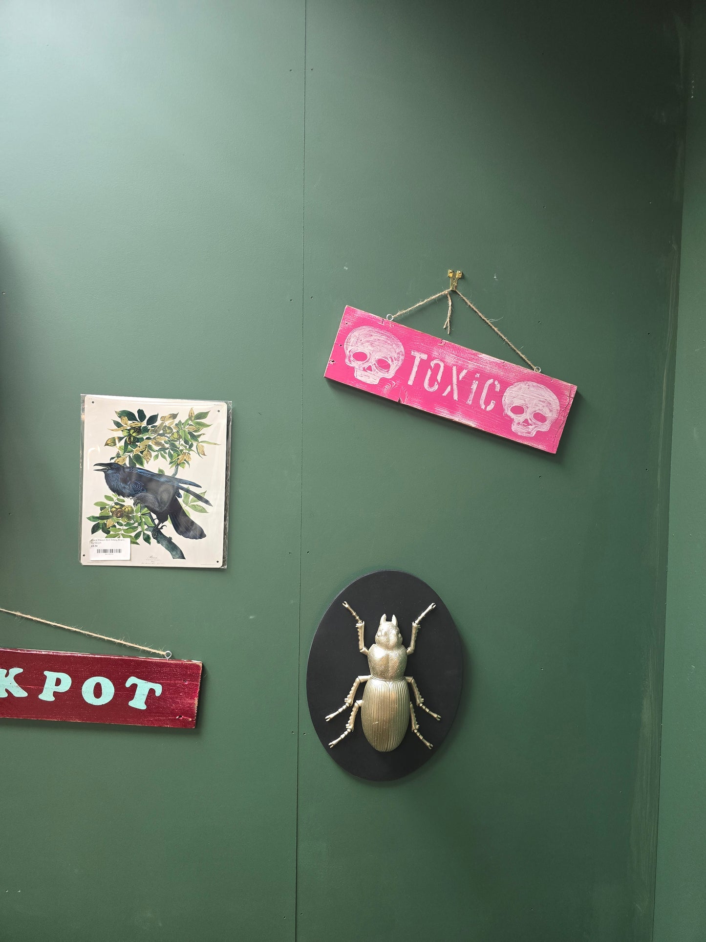 Toxic Pink by Bongo Jesus